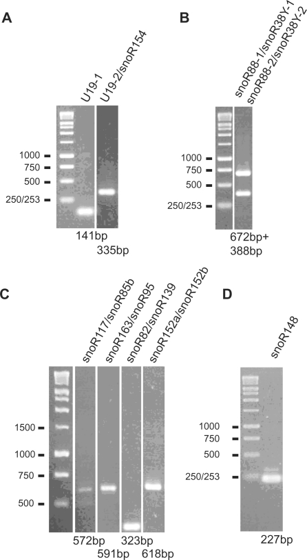 Figure 5.