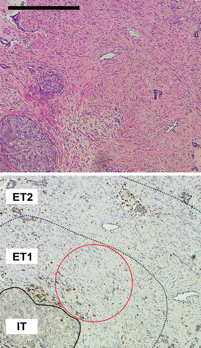 Fig. 2