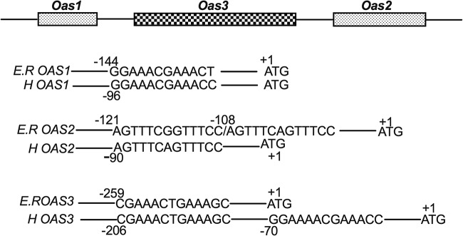 FIG 1