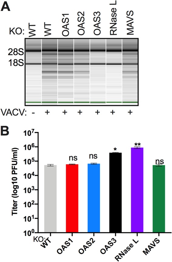 FIG 9