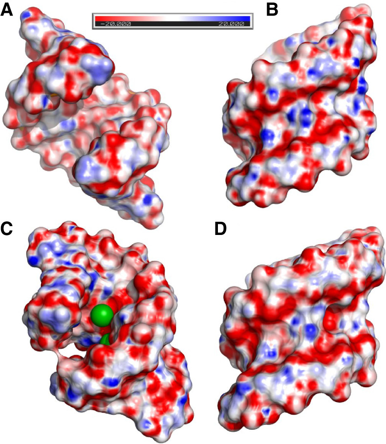 FIGURE 4.