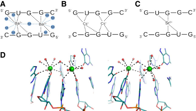 FIGURE 3.