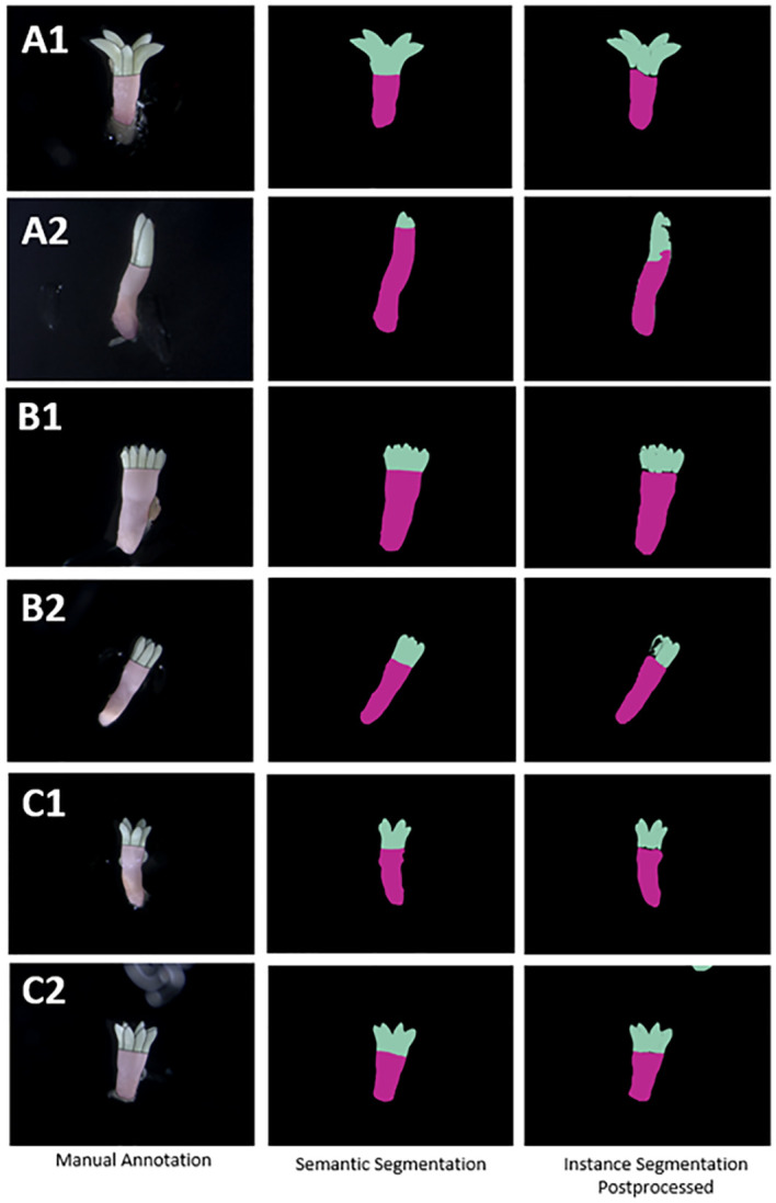 Figure 5