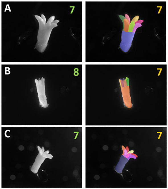 Figure 6