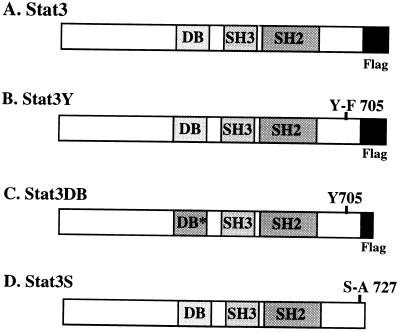 FIG. 1