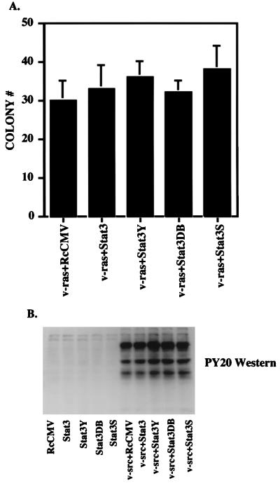 FIG. 5