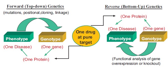 Fig. (2)