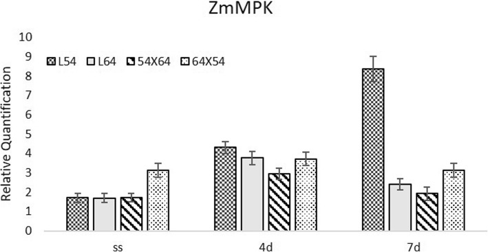 Fig. 6