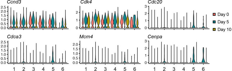 Figure 2—figure supplement 4.