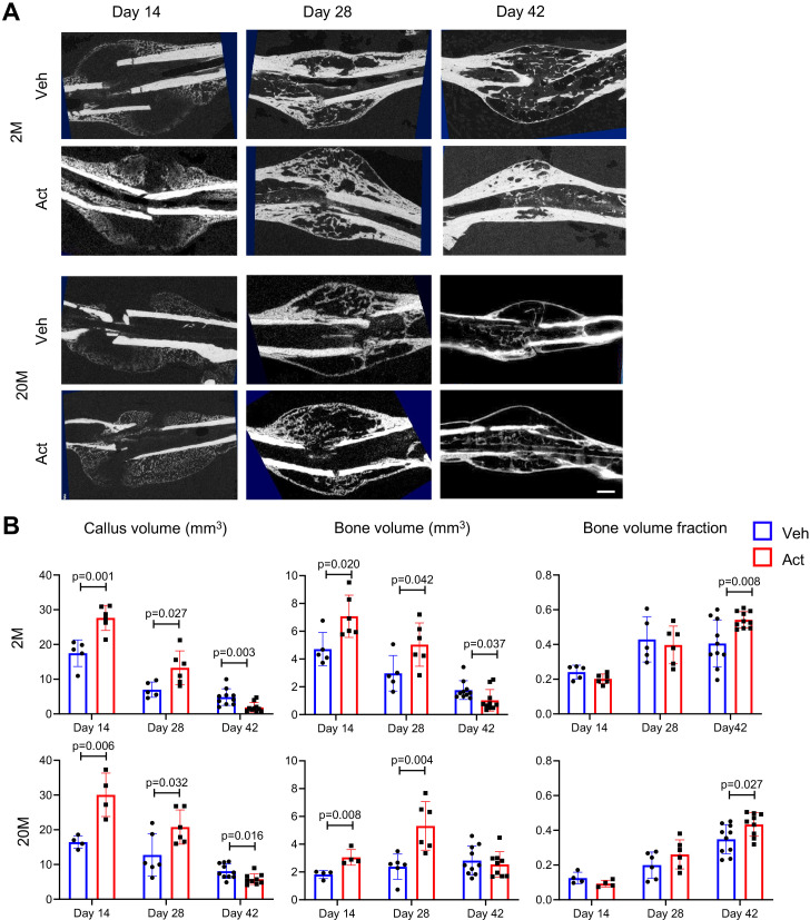 Figure 6—figure supplement 1.