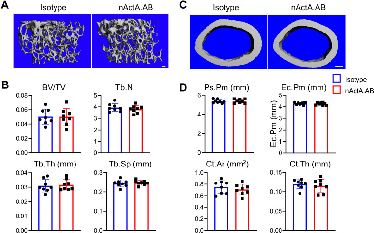 Figure 5—figure supplement 2.