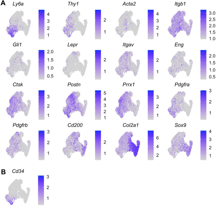 Figure 2—figure supplement 5.