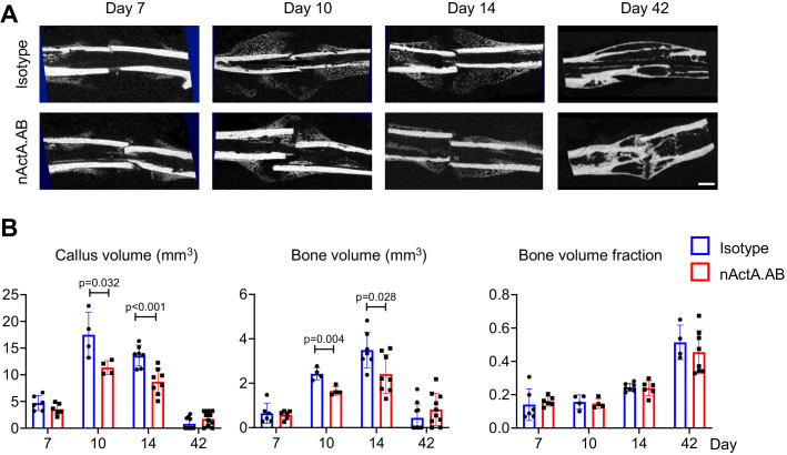 Figure 5—figure supplement 1.