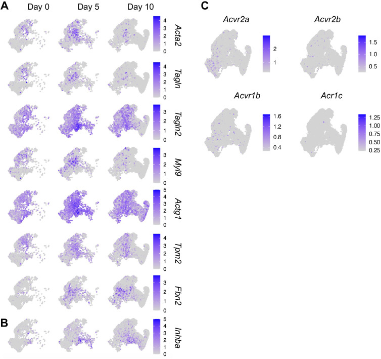 Figure 3—figure supplement 1.