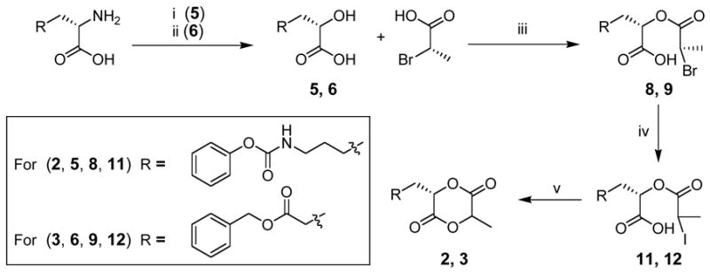 Scheme 2