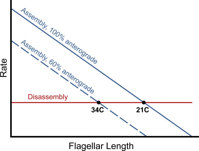 Figure 8.