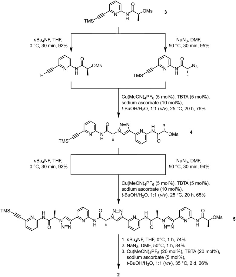 Scheme 1