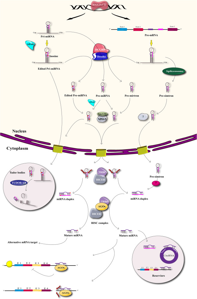 Fig 2