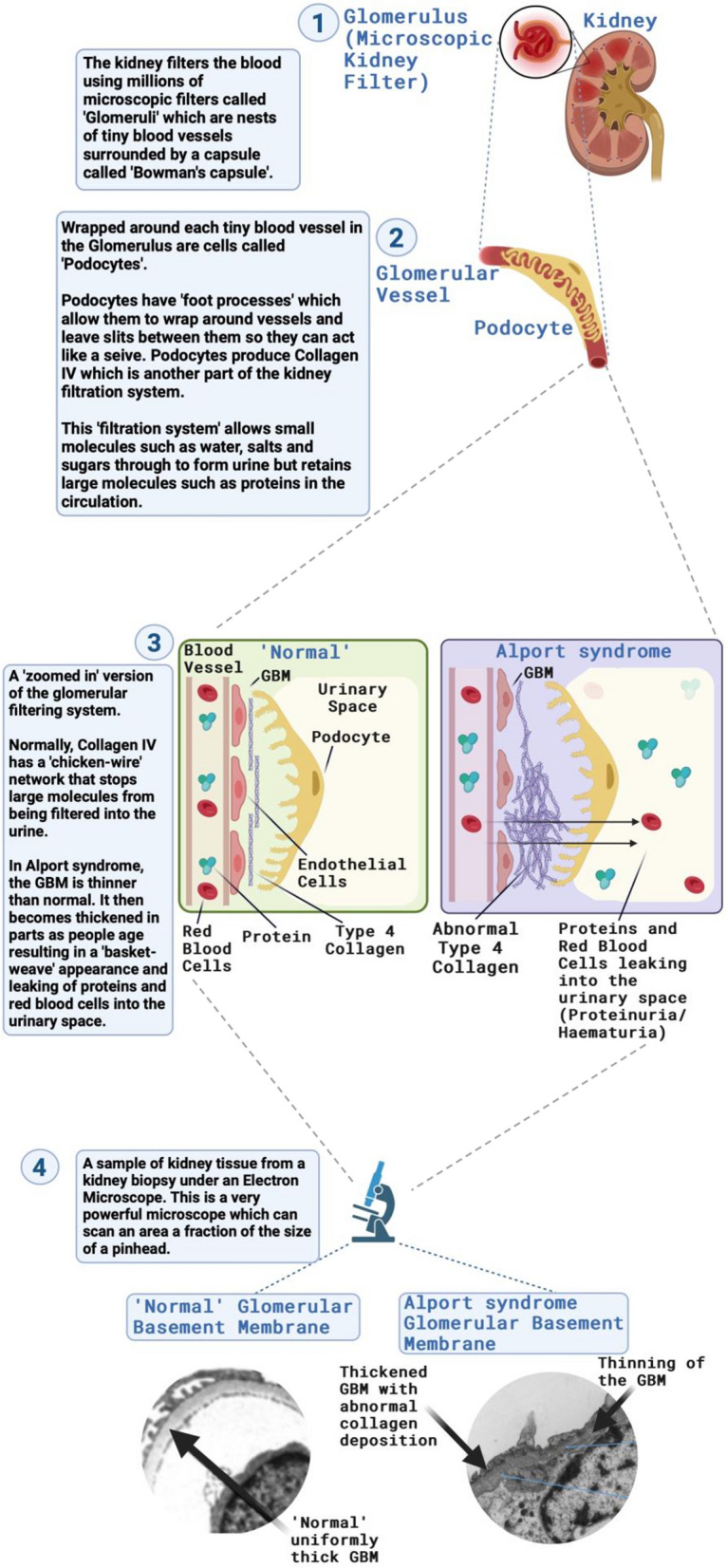 Fig. 4