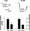 Fig. 7.