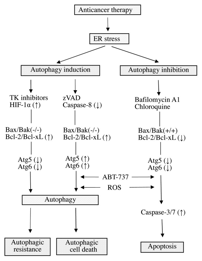 Figure 1. 