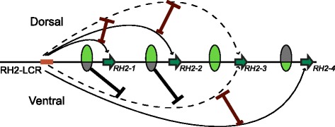 Fig. 5