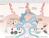 Fig. 4.