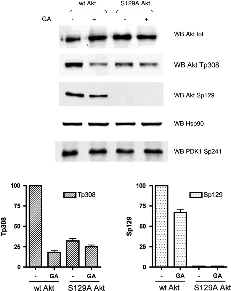 Fig. 6