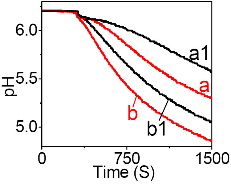 Figure 8