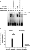 Fig 5