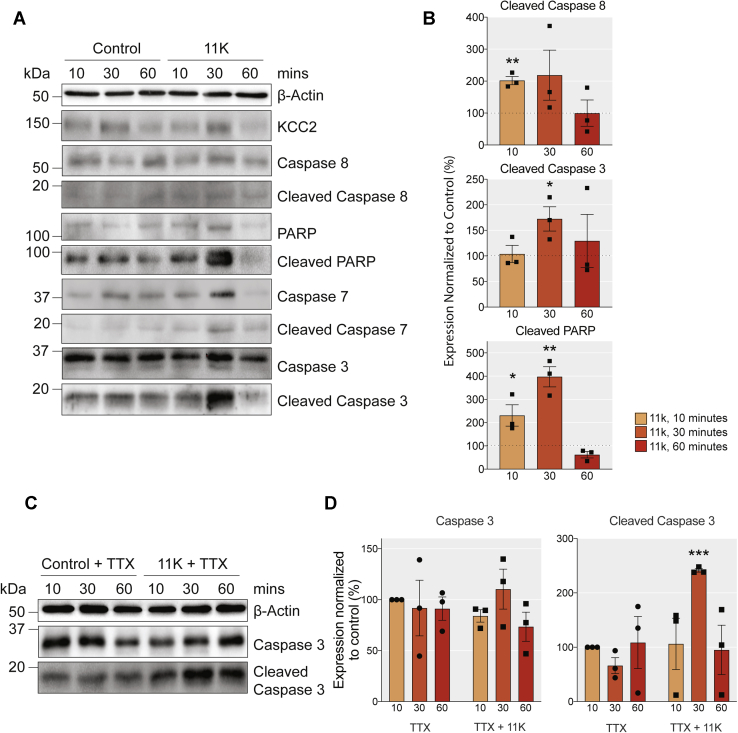 Figure 6