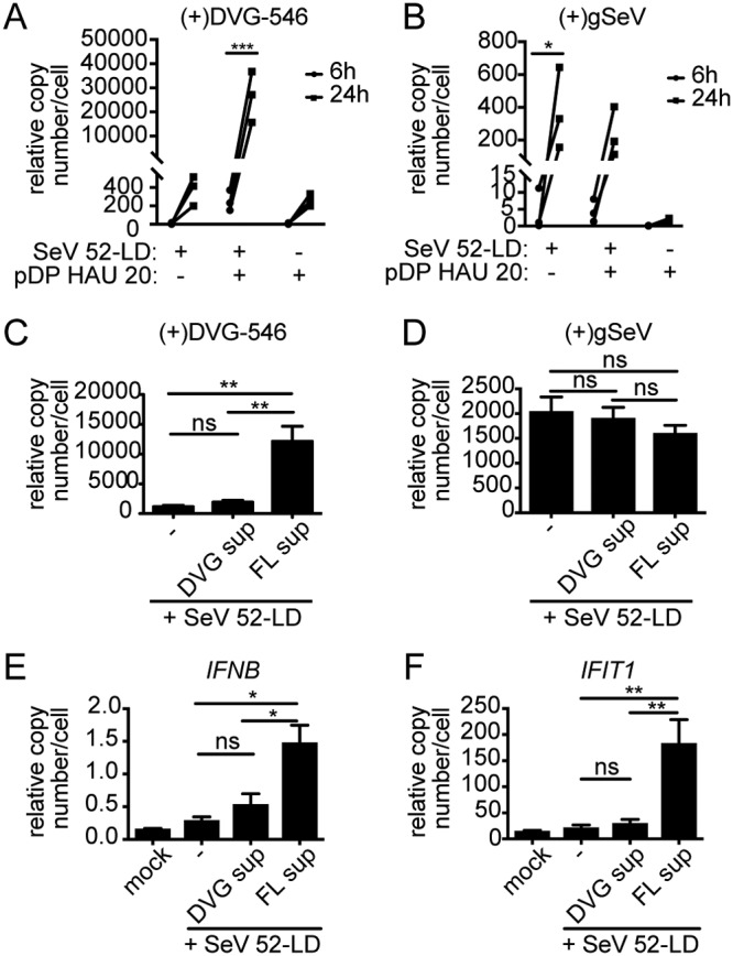 FIG 8