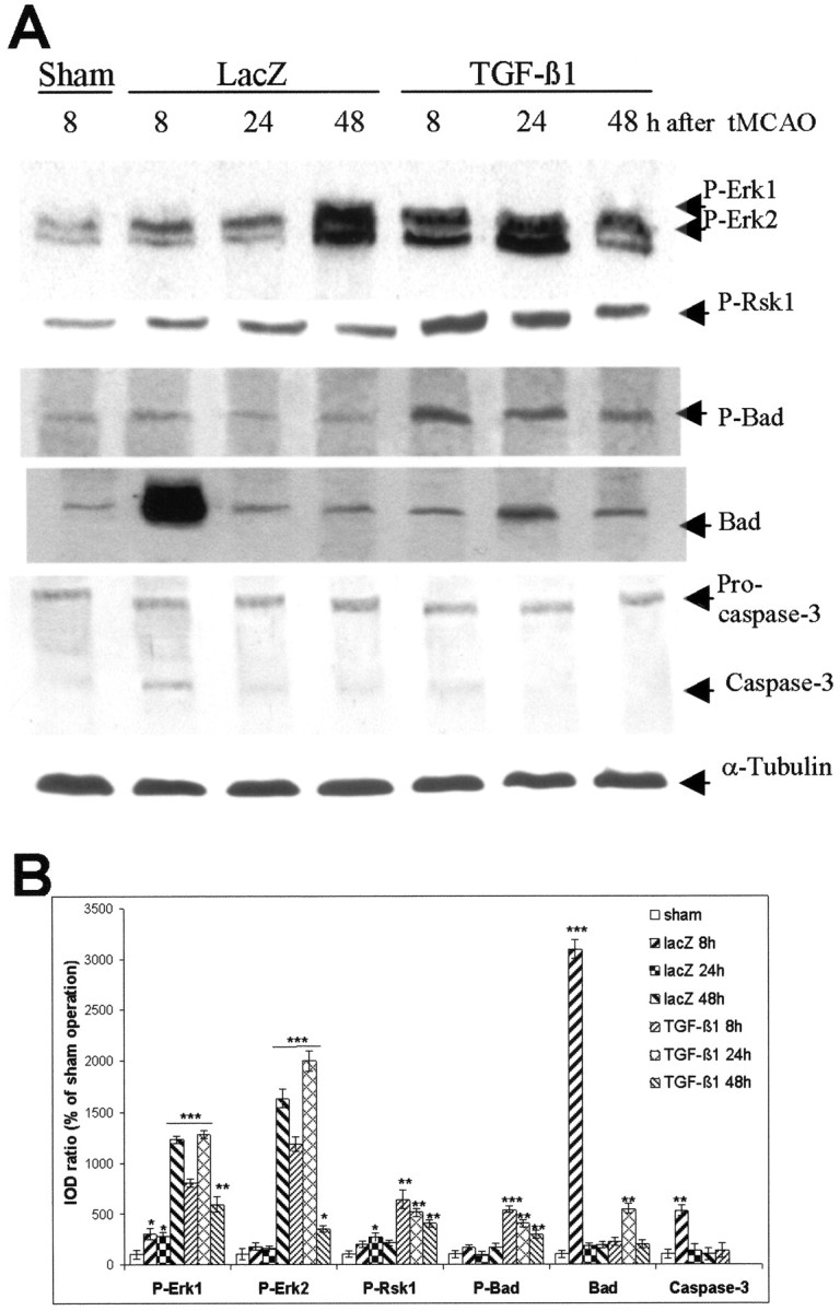 Fig. 5.