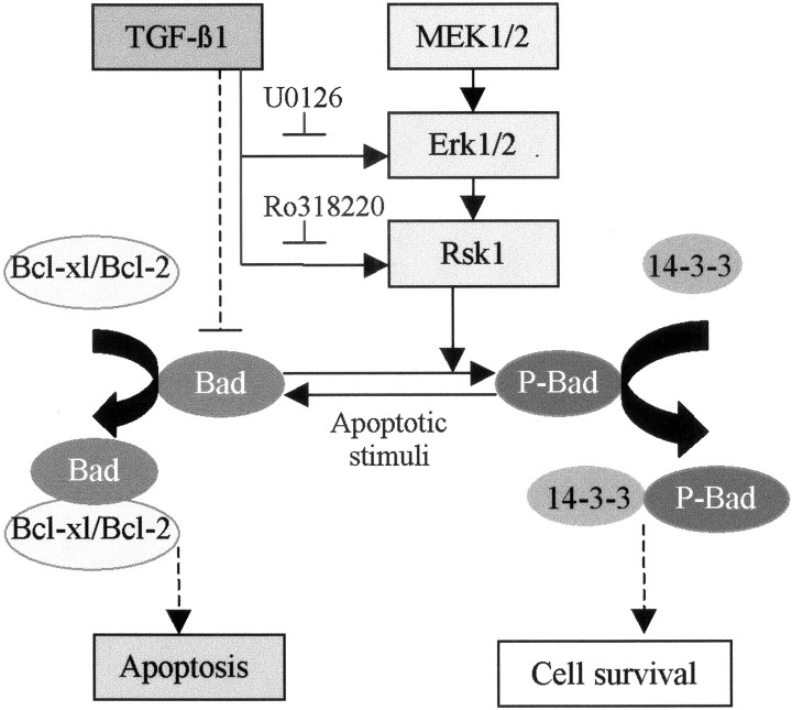 Fig. 10.