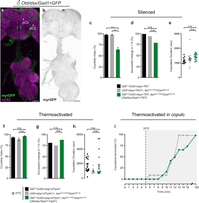 Figure 3—figure supplement 2.