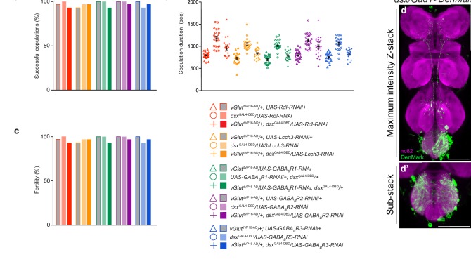 Figure 4—figure supplement 1.