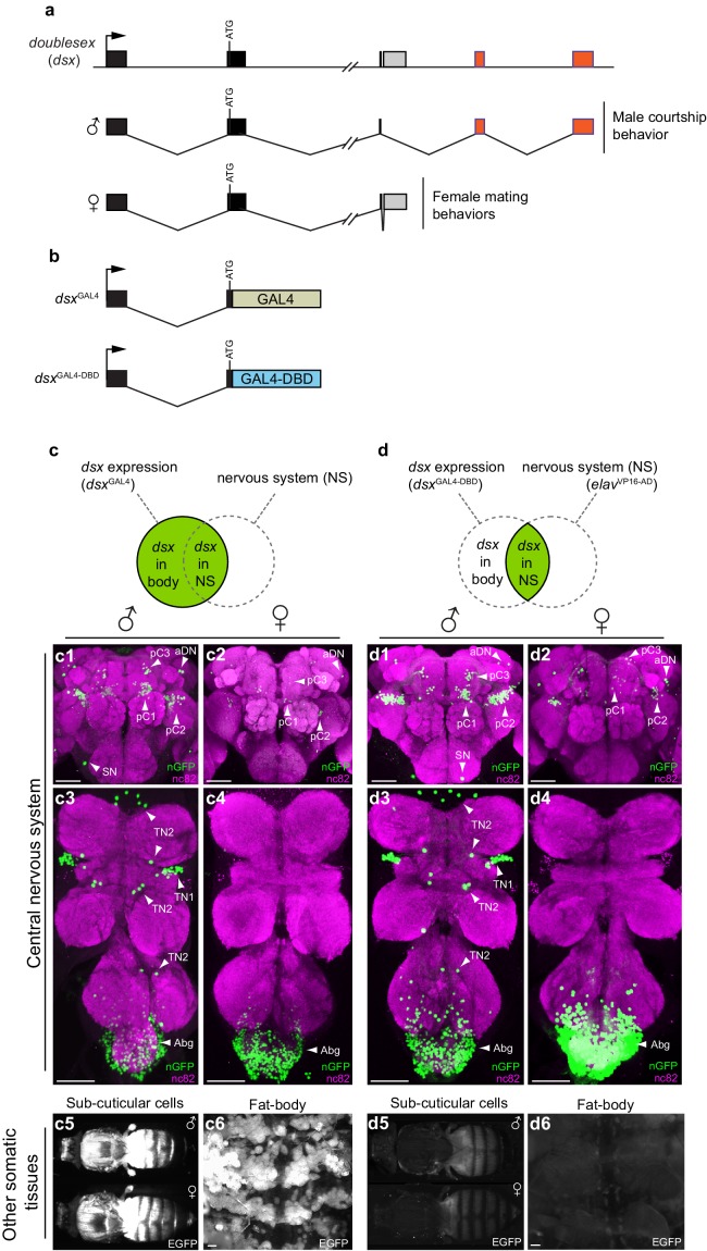 Figure 1.