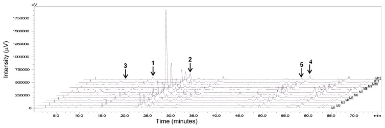 Fig. 3