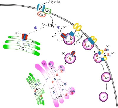 Figure 4.