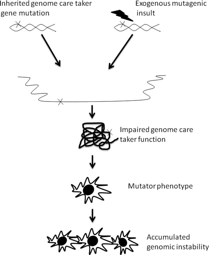 Figure. 1