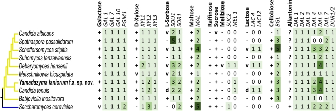 Figure 4.