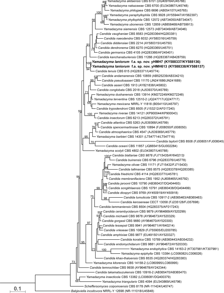 Figure 1.