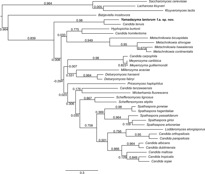 Figure 2.