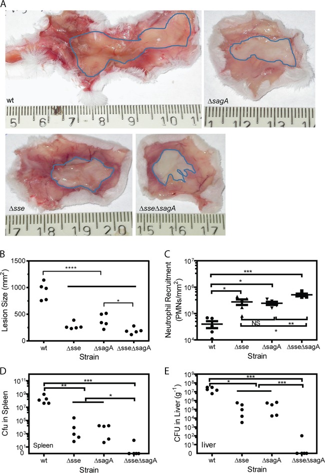 FIG 1