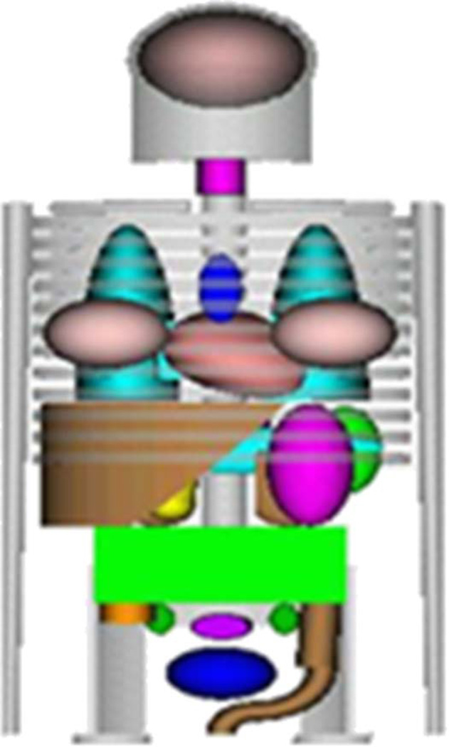 Fig. 1