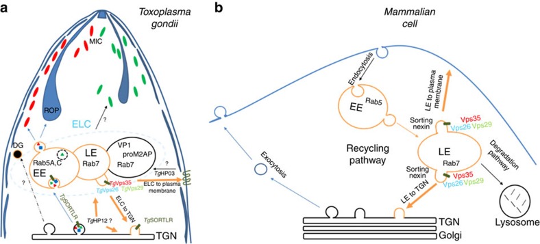 Figure 10