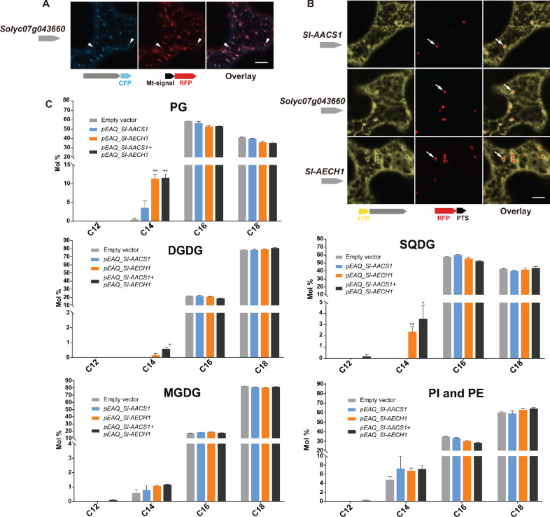 Figure 4—figure supplement 1.