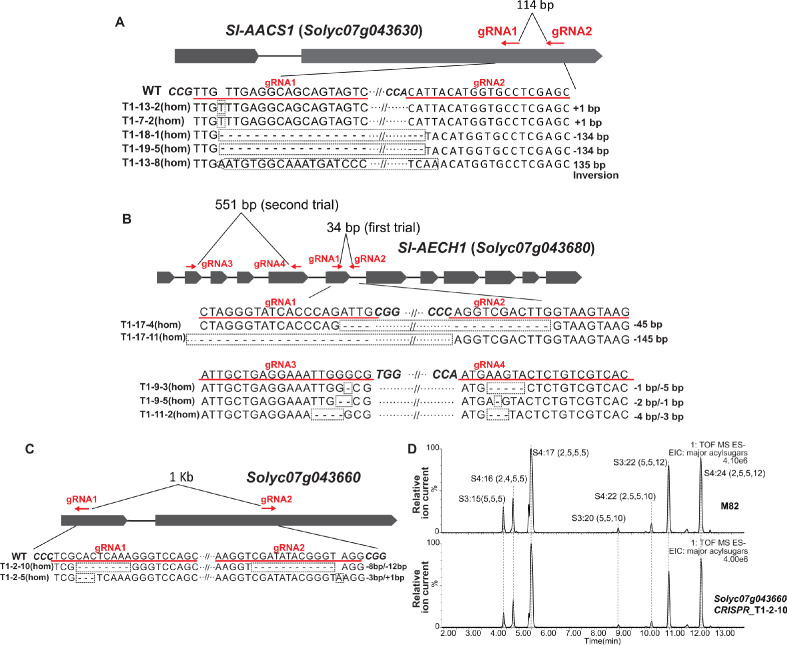 Figure 3—figure supplement 1.