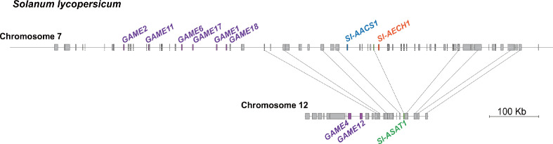 Figure 3—figure supplement 2.