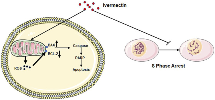 FIGURE 11